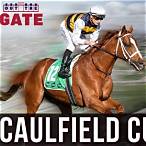 bet on caulfield cup